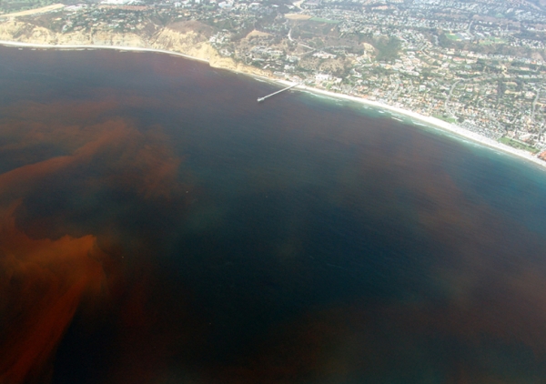 Natural phenomena caught off of the coast of  Claifornia.