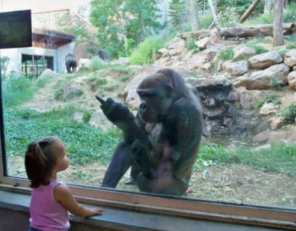 Daily Randomness For All To Enjoy