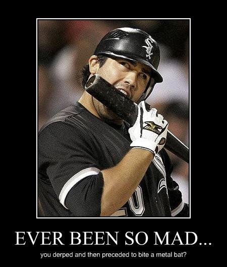 carlos quentin white sox - Ever Been So Mad... you derped and then preceded to bite a metal bat?