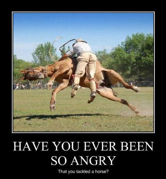 have you ever been so - Have You Ever Been So Angry That you tackled a horse?