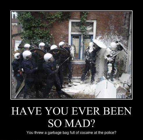 have you ever been so mad - Have You Ever Been So Mad? You threw a garbage bag full of cocaine at the police?