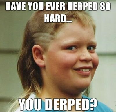 hairstyle - Have You Ever Herped So Hard... You Derped