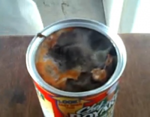 Mice Found in Food