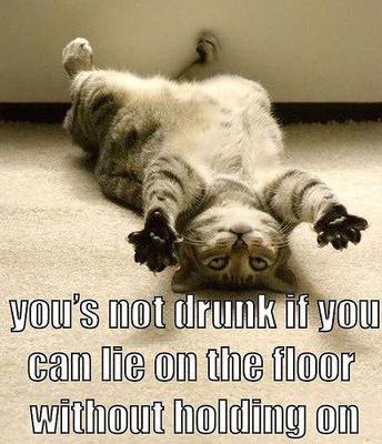 drunk bday cat