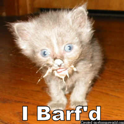 awww this cute kitty barfed