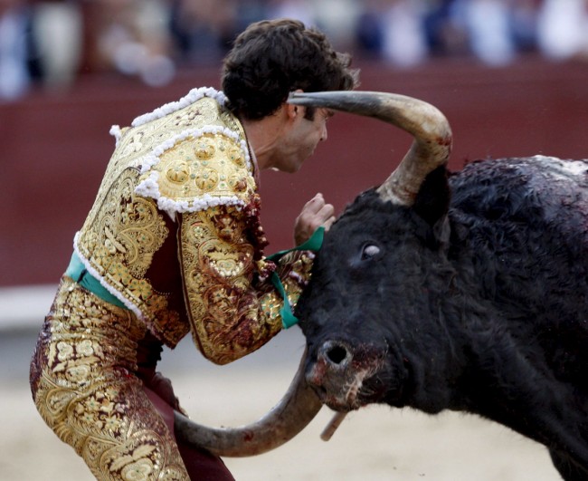 I guess you could say he grabbed the bull by the horns! Or not.