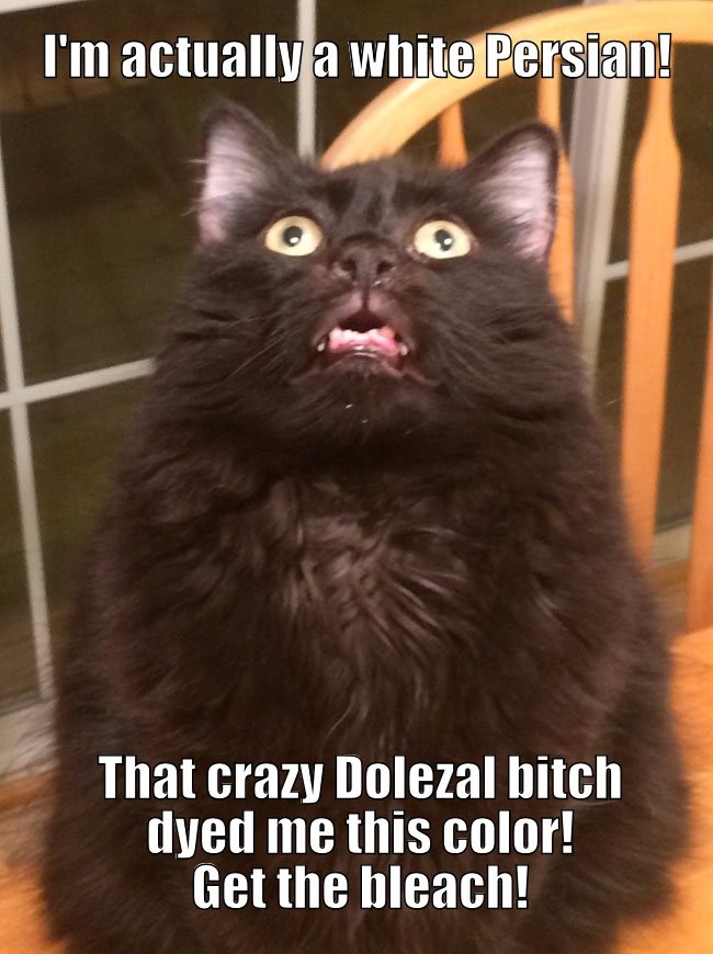 Rachel Dolezal's cat