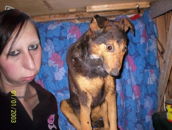 People DO start looking like their pets.