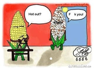 How hot is it?