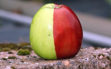 cool half red half green apple