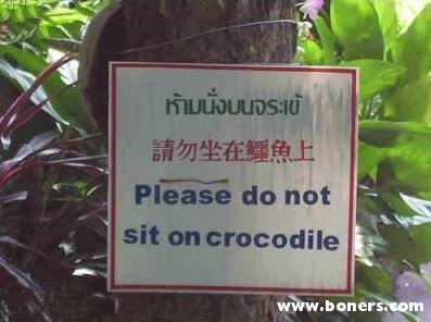 "Please do not sit on crocodile."  WHO DID?
