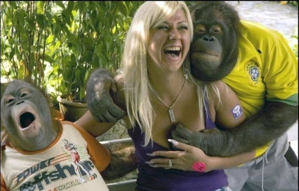 They say orangutans are the closest animals to humans...