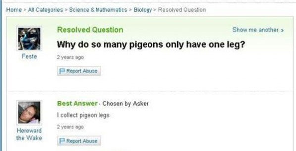 Best answer EVER!