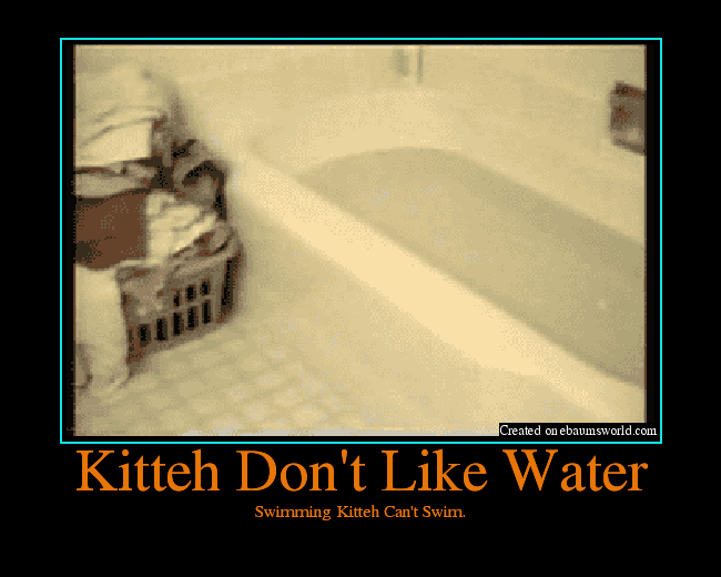 Swimming Kitteh Can't Swim.