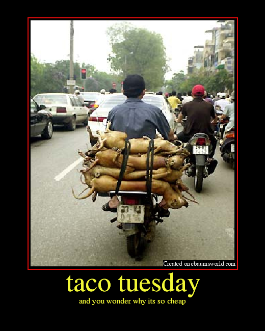 taco tuesday. and you wonder why its so cheap. 