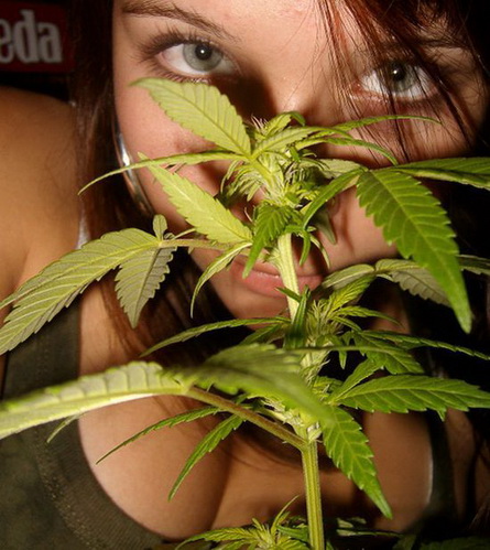 Women Of Weed One