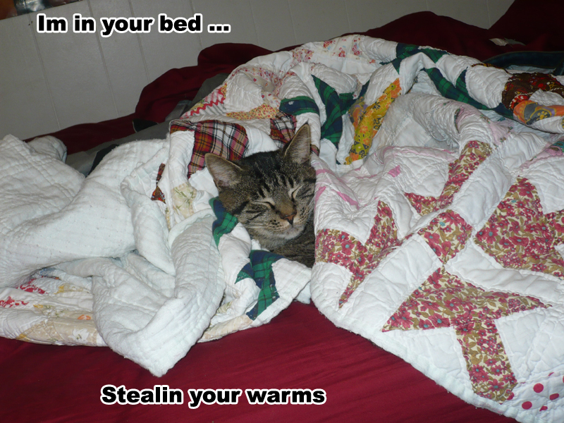 stealin warms