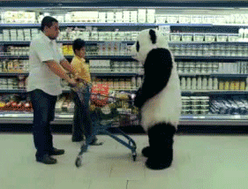 Panda-monium in the supermarket