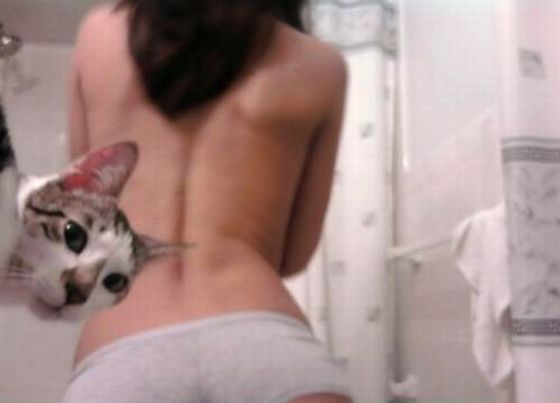 As you can see, by this blurry-ass photo, cats like undies too!