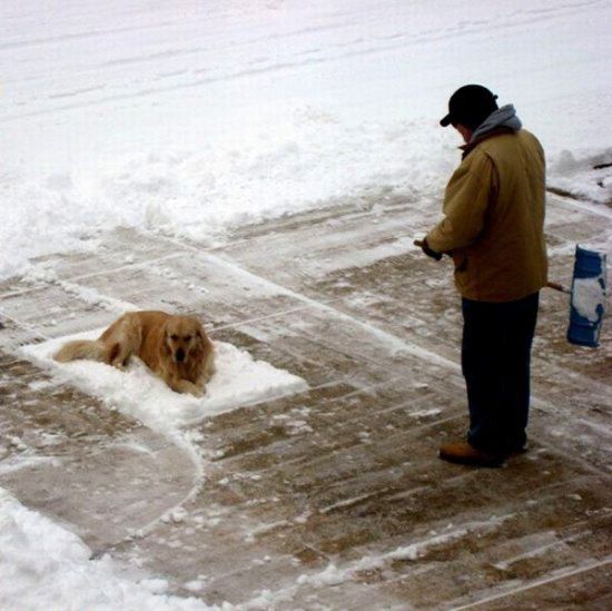 Get the snow blower, he'll move.