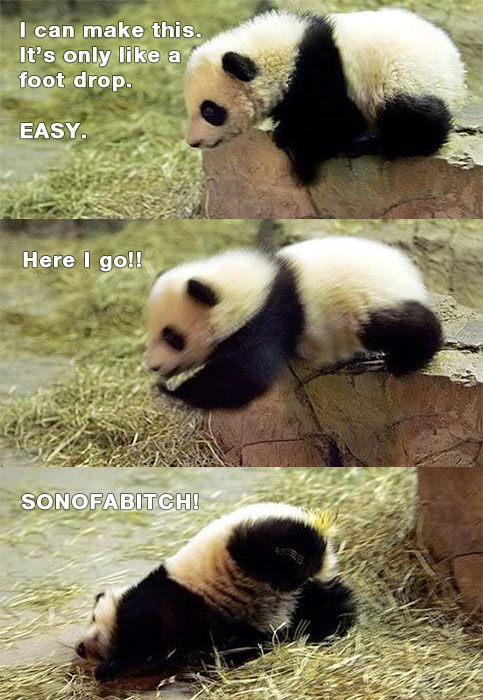 P.I.S.S.  Panda's intense stumble search