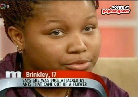 maury screenshots - Posted At pophangover Brinkley, 17 Says She Was Once Attacked By Ants That Came Out Of A Flower