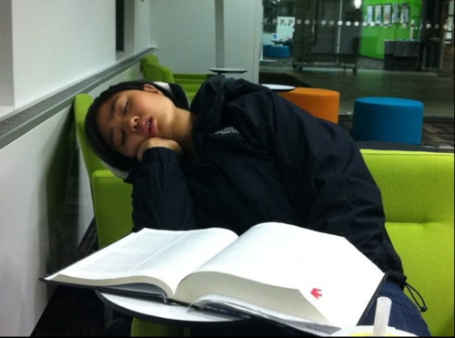 Panda's boring trip to the library