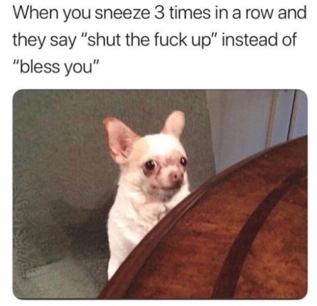you sneeze meme - When you sneeze 3 times in a row and they say "shut the fuck up" instead of "bless you"