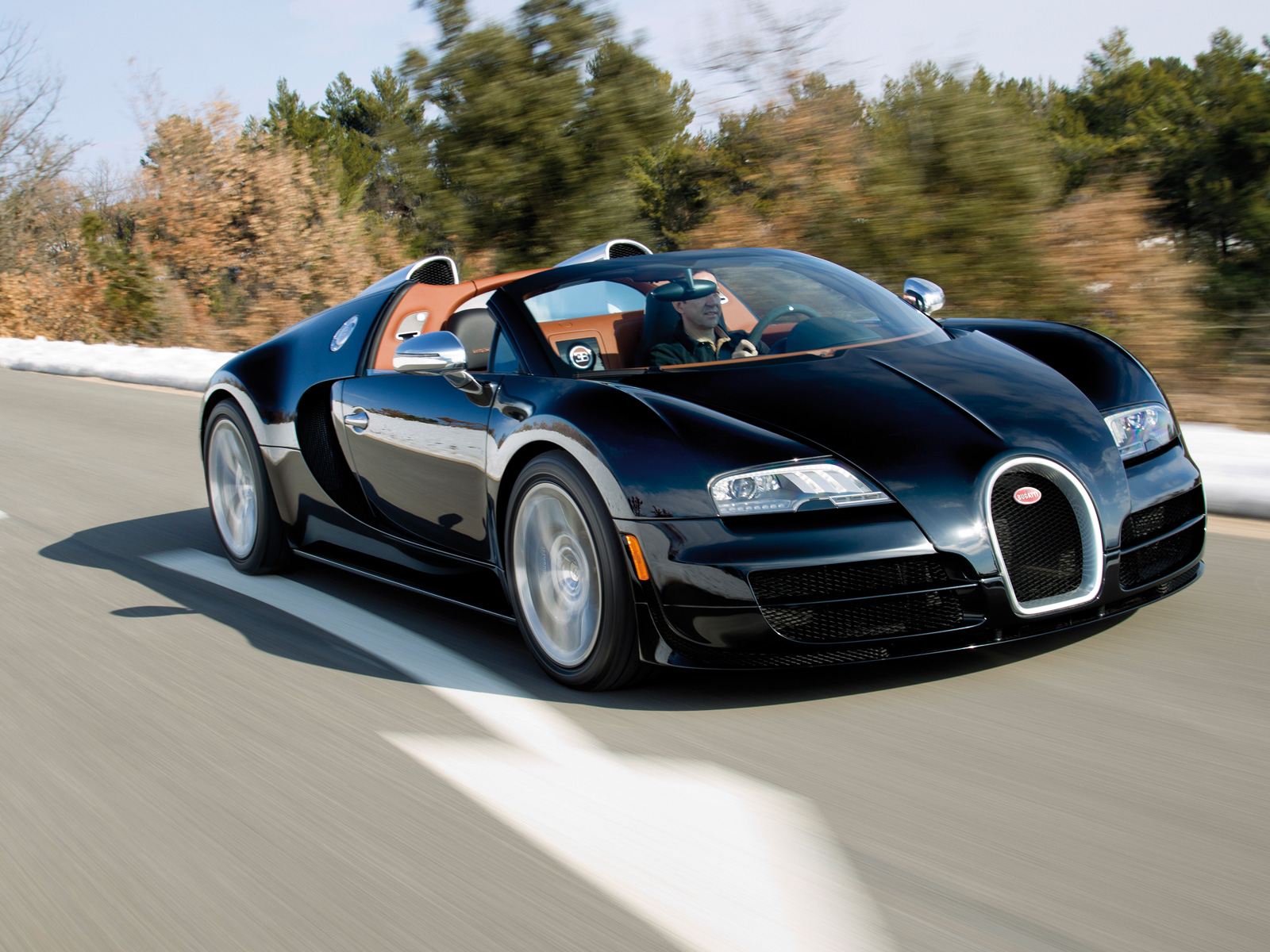 2010 Bugatti Grand Sport
