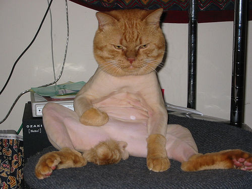 a real nice shaved pussy