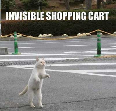 Invisible Shopping Cart