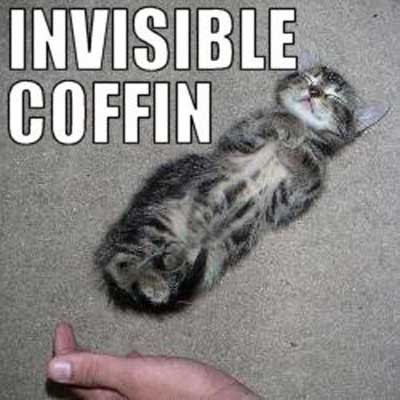 Invisible Coffin