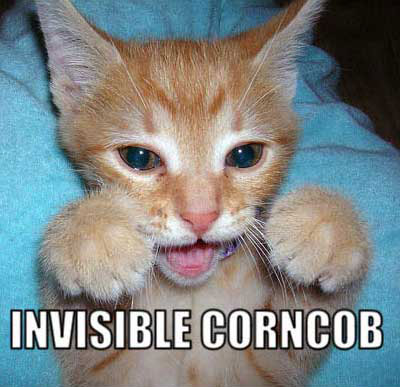 Invisible Corncob