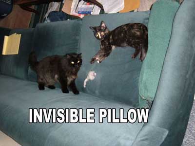 Invisible Pillow