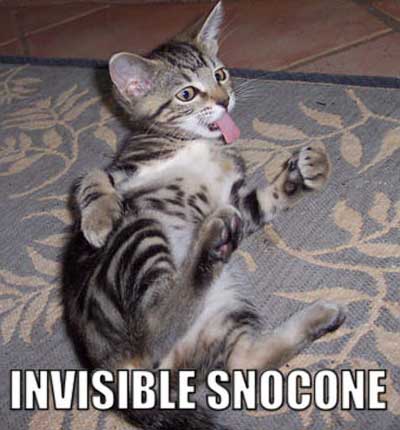 Invisible Snowcone