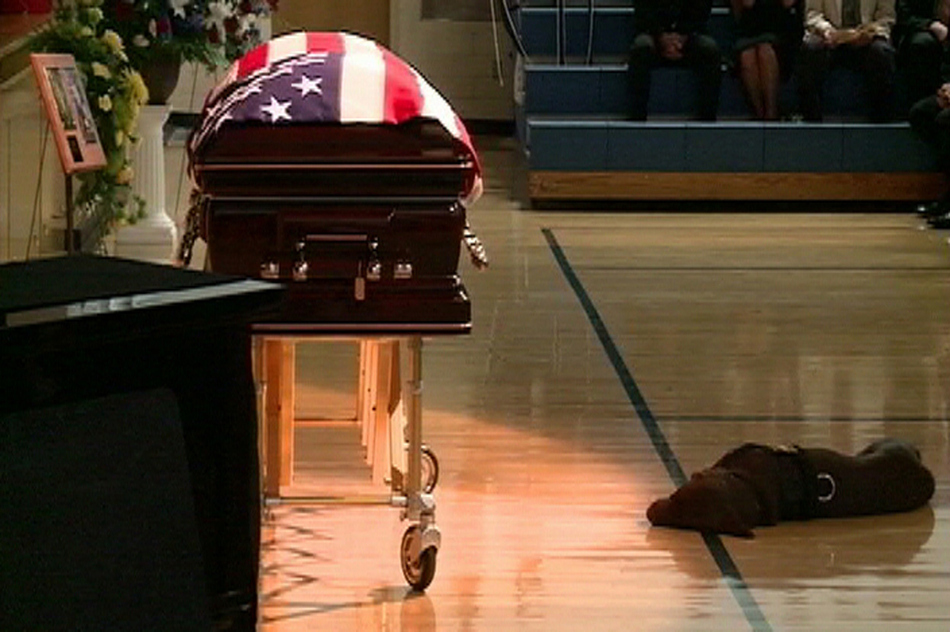 Slain Navy SEAL Jon Tumilson's dog "Hawkeye" lies next to his casket during funeral services in Rockford, Iowa. Tumilson was one of 30 American soldiers killed in Afghanistan on August 6 when their helicopter was shot down during a mission to help fellow troops who had come under fire.