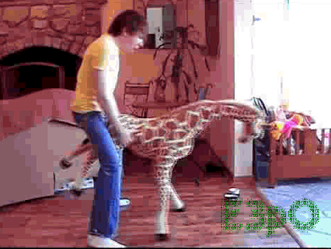 Makemebad35 butt humps a Giraffe!  http://www.youtube.com/user/makemebad35