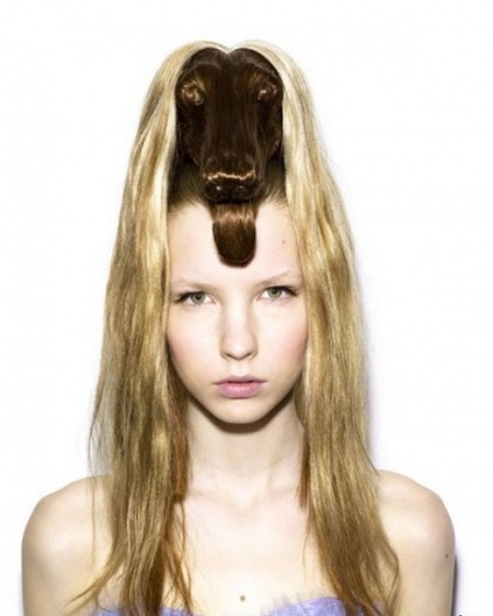 Animal shaped hairstyles