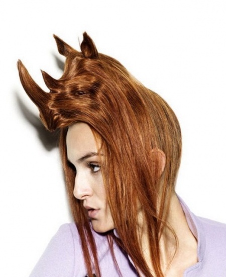 Animal shaped hairstyles