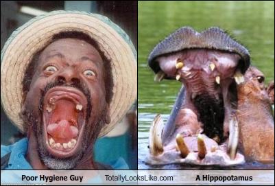 .............Totally Looks Like.......3