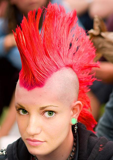 Chicks with mohawks