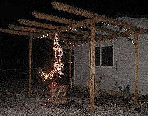 Who says they don't know how to decorate for Christmas in the South?