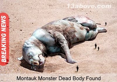 I found these pictures on Discovery New Species Found. And Im wonder, WTF this Montauk Monster is??? It looks like some kind of monstrous beast!!! This is a damn sucker!! But then again, can it be some kind of parallel universe creature, demon or some kind of wild dog with a beak ?!! What do YOU THINK???

