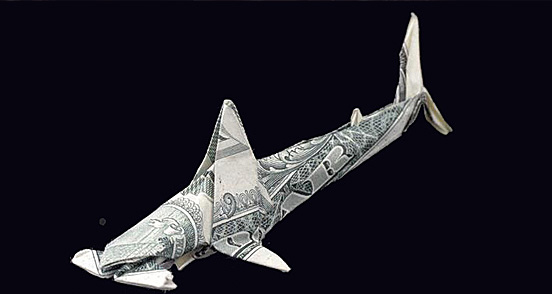 One Dollar Hammer Head Shark