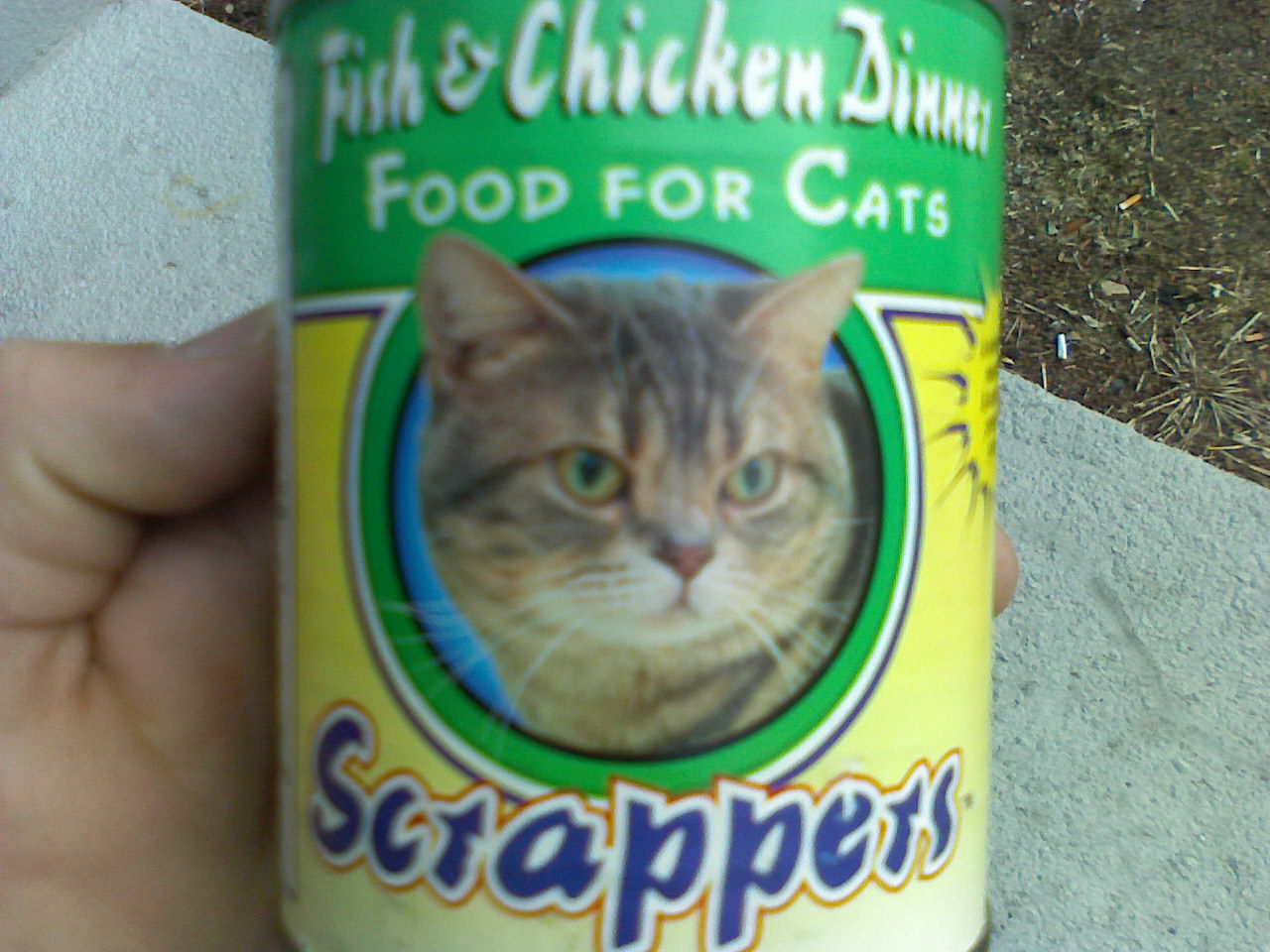 cat food Picture eBaum's World