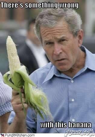 Bush corn fiasco