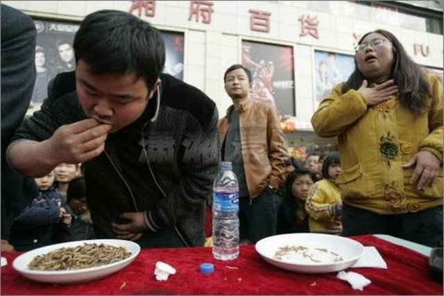Maggot Eating Competition
