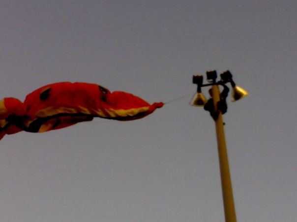 Insane Guy Climbs a Light Post To Free Kite