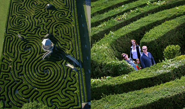 Из куста шипуля за ногу тяпуля ответ. Лабиринт Longleat Hedge Maze. Лабиринт парка Туари. Лабиринты в парках. Лабиринт - зеленый.