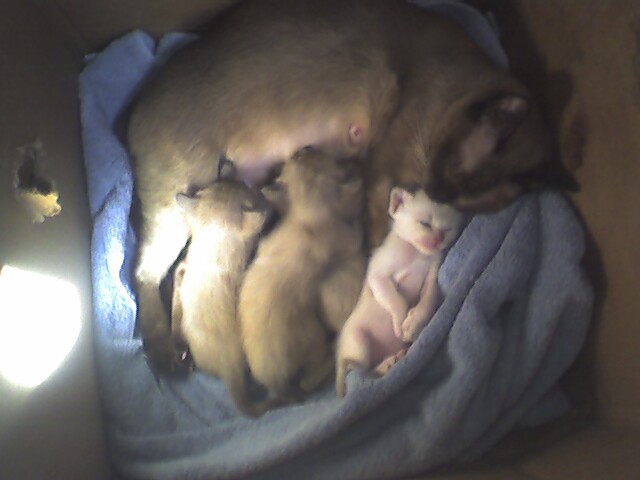 One Of These Things Is Not Like The Others